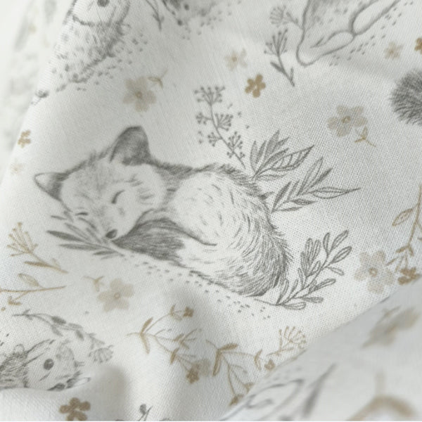 Cotone italiano_disegno animali bosco