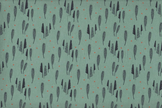 Cotone francese_Babynosaure piume