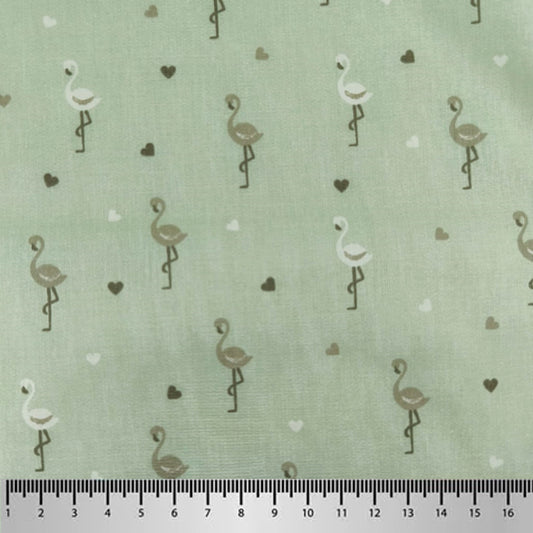 Cotone italiano_Fenicotteri