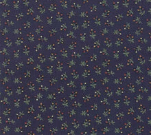 Carica l&#39;immagine nel visualizzatore di Gallery, Kansas-Troubles-Favorites-9607-14-moda-fabrics
