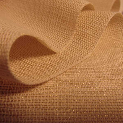 DIVINCENCIOSO_nastro cotone con LUREX 75 mm